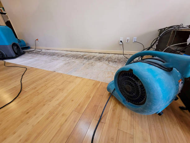 Professional Flood Damage Cleanup technician working in Warrensburg, MO